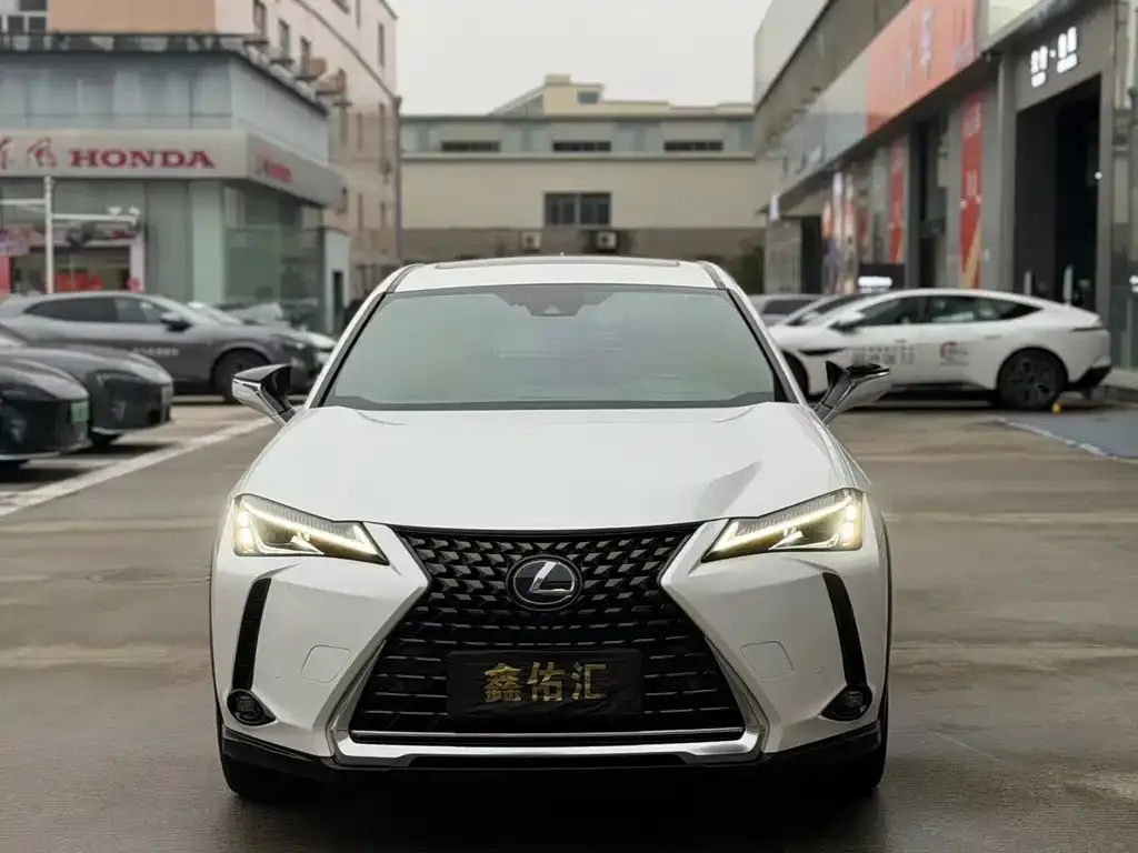 Lexus UX 2021 из CN, фото 7