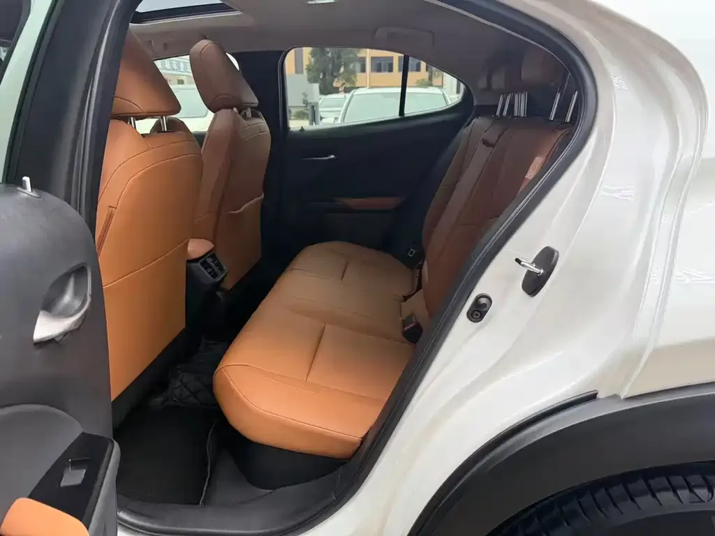 Lexus UX 2021 из CN, фото 2