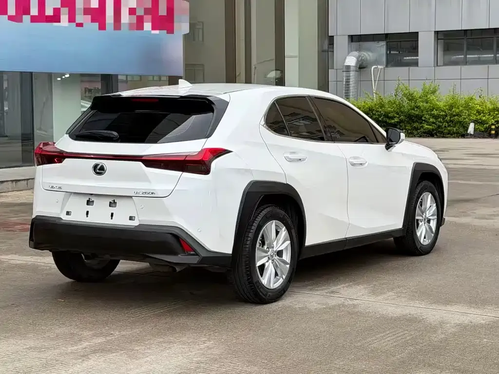 Lexus UX 2021 из CN, фото 8