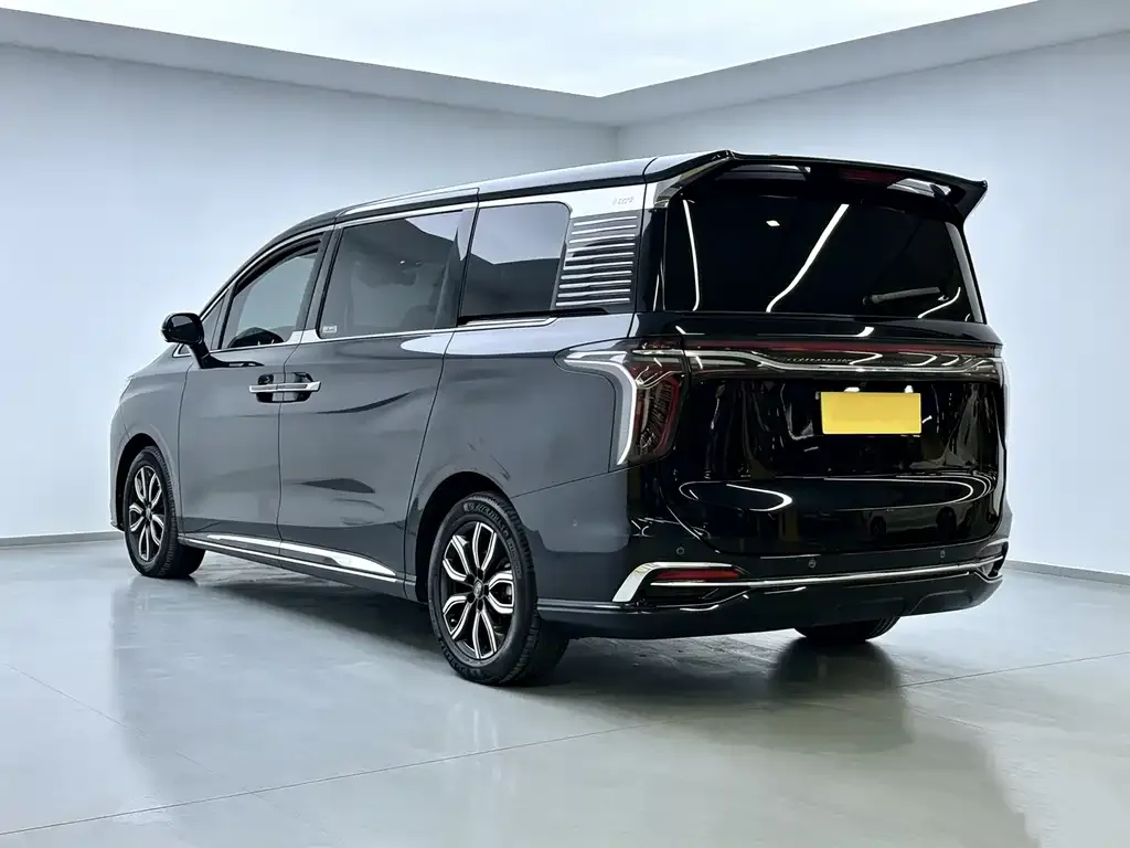 Hongqi HQ9 2022 из CN, фото 10