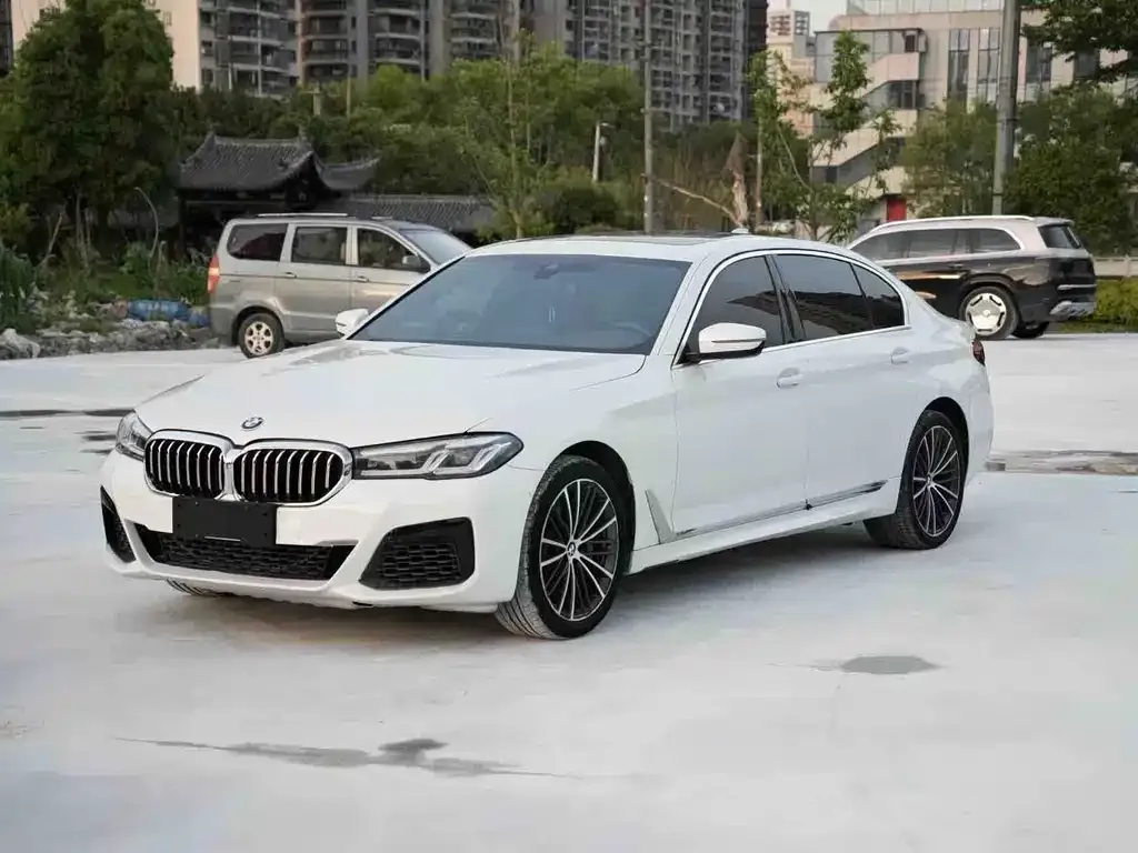 BMW 5 Series 2021 из CN, фото 7