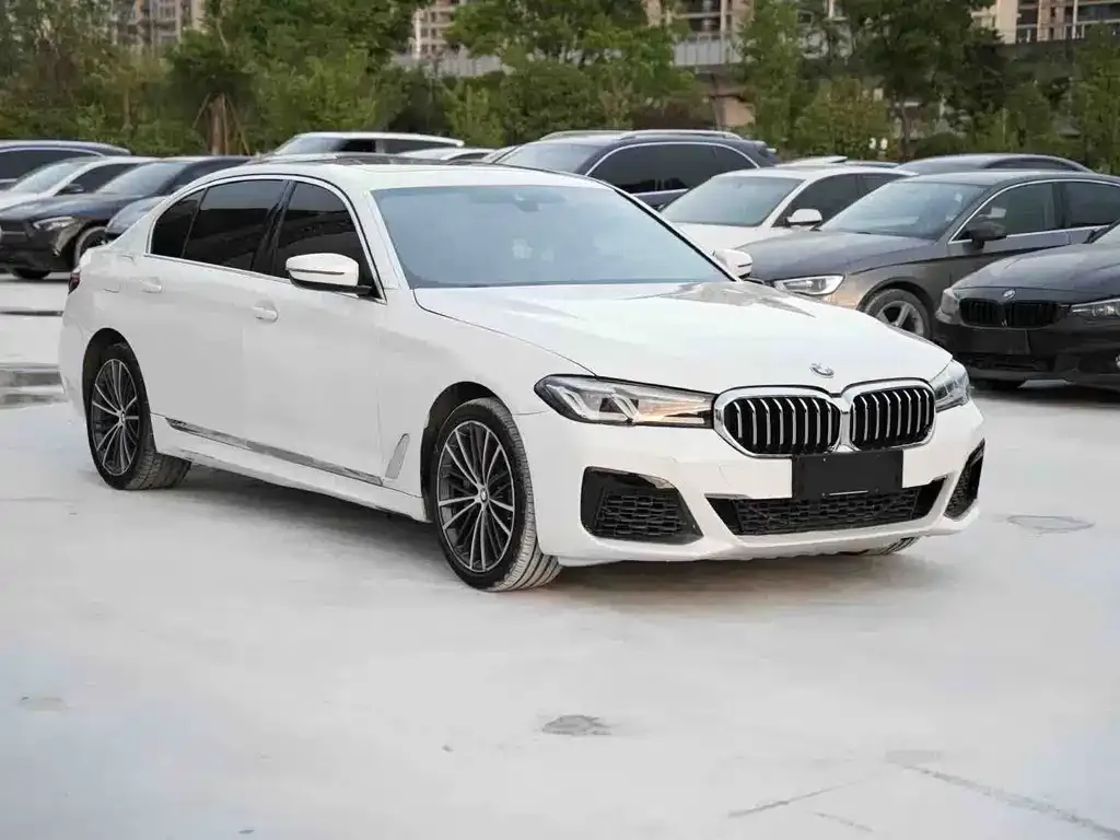 BMW 5 Series 2021 из CN, фото 6