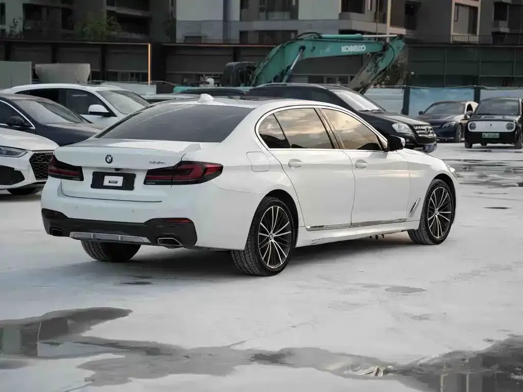 BMW 5 Series 2021 из CN, фото 5