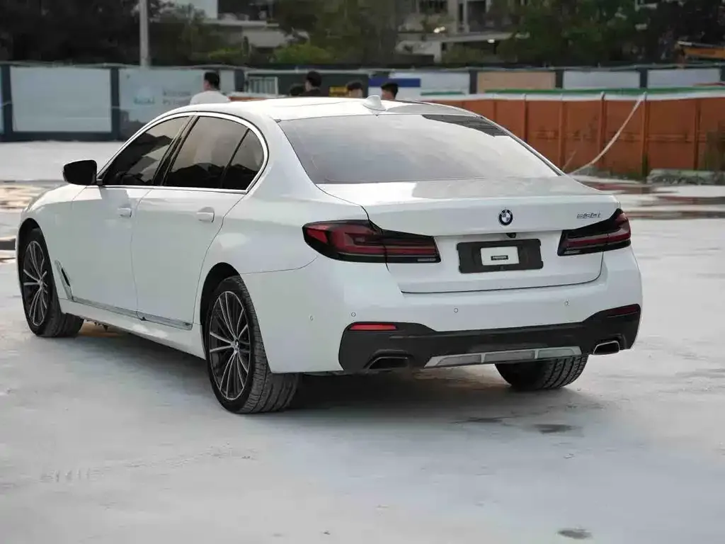 BMW 5 Series 2021 из CN, фото 4