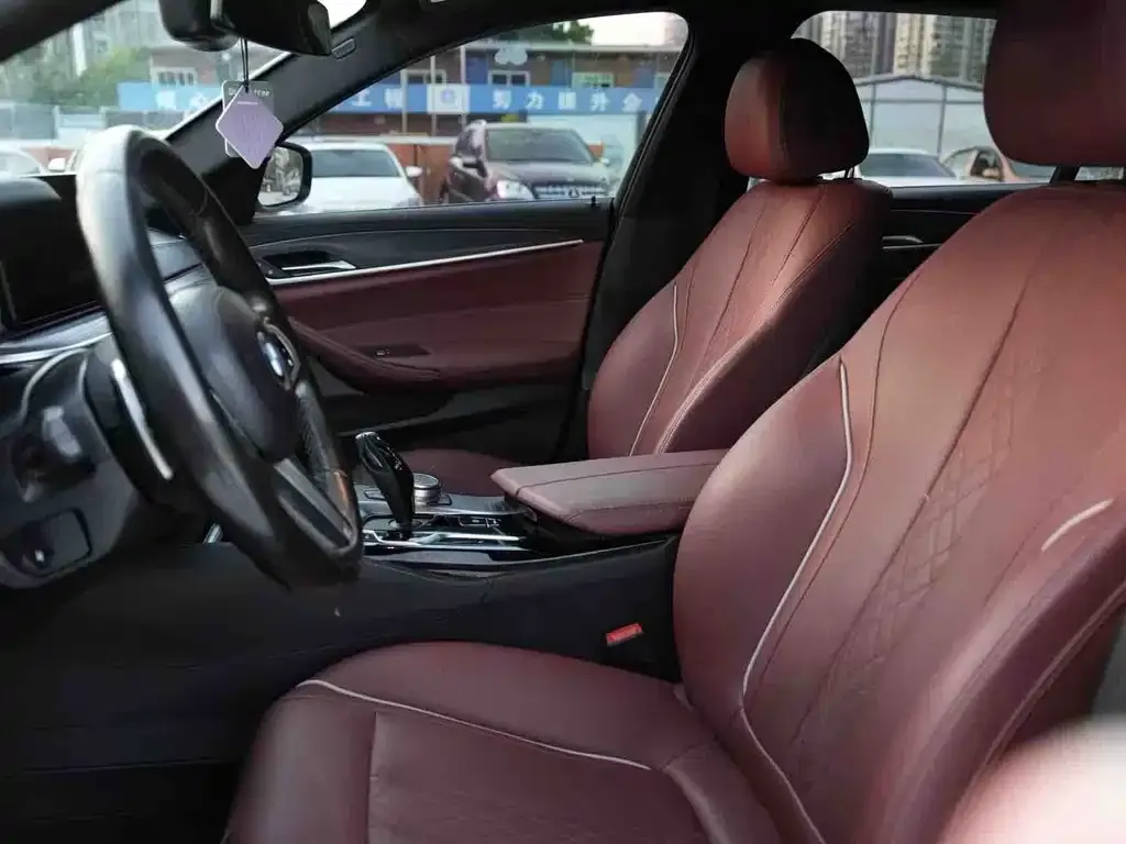 BMW 5 Series 2021 из CN, фото 9