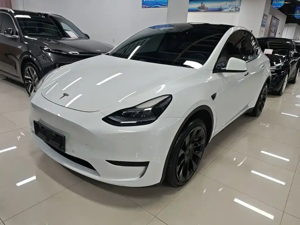 Tesla Model Y — фото 4