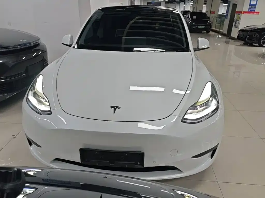 Tesla Model Y — фото 8