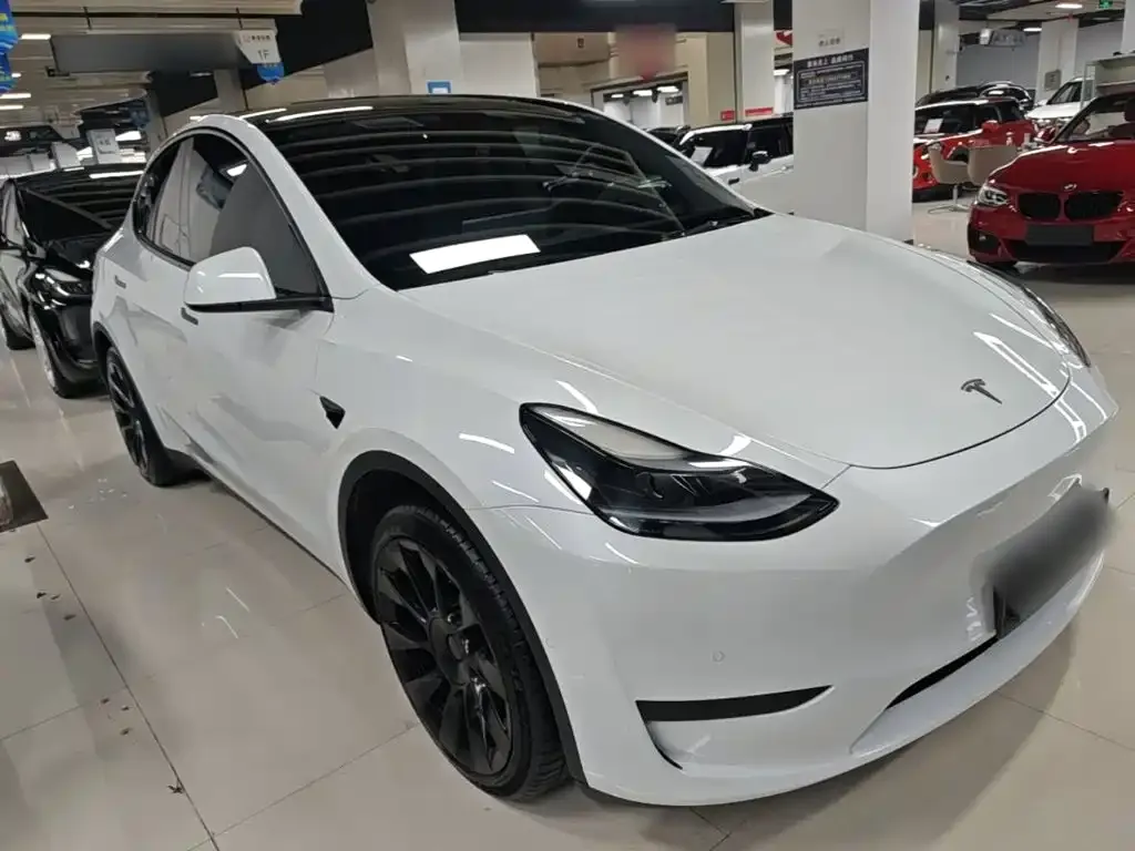 Tesla Model Y — фото 2