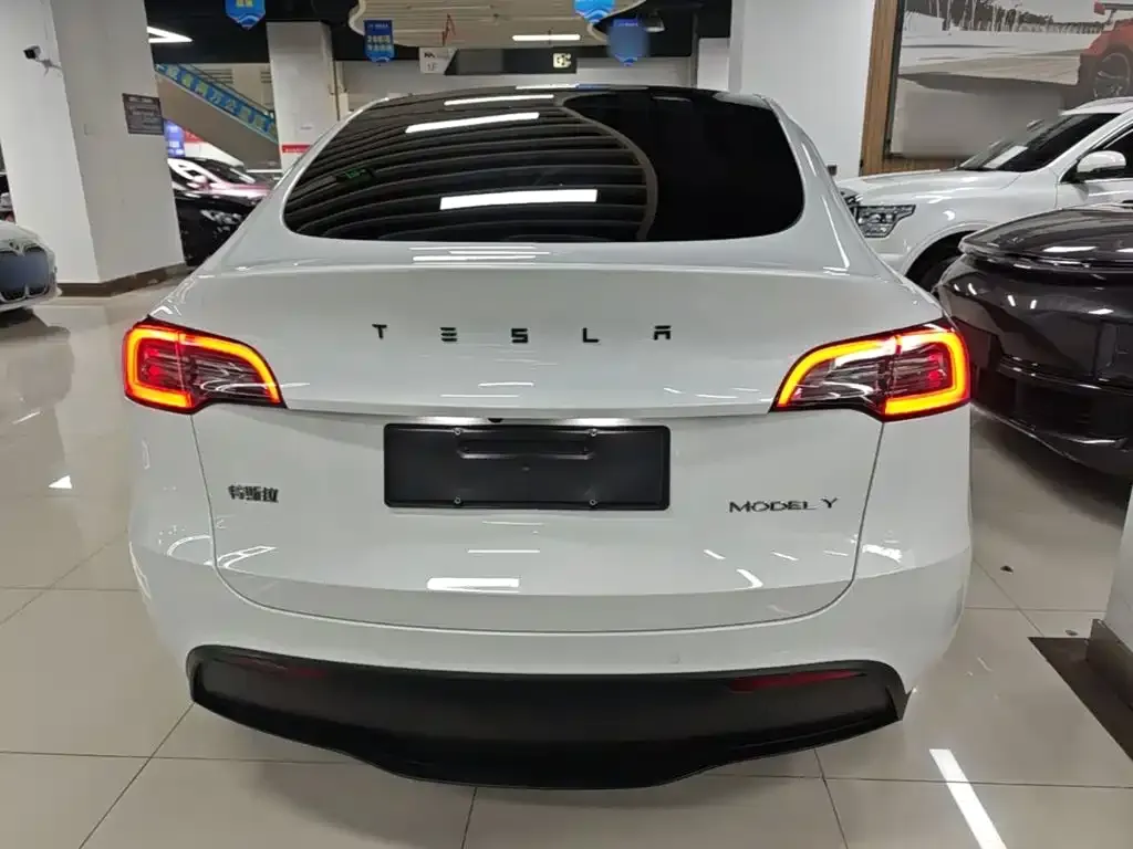 Tesla Model Y — фото 6