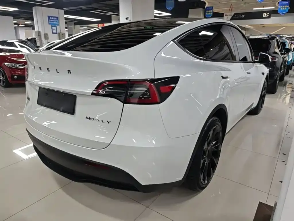 Tesla Model Y — фото 10