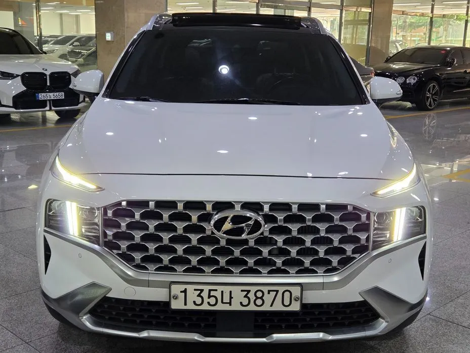 Hyundai Santafe — фото 10