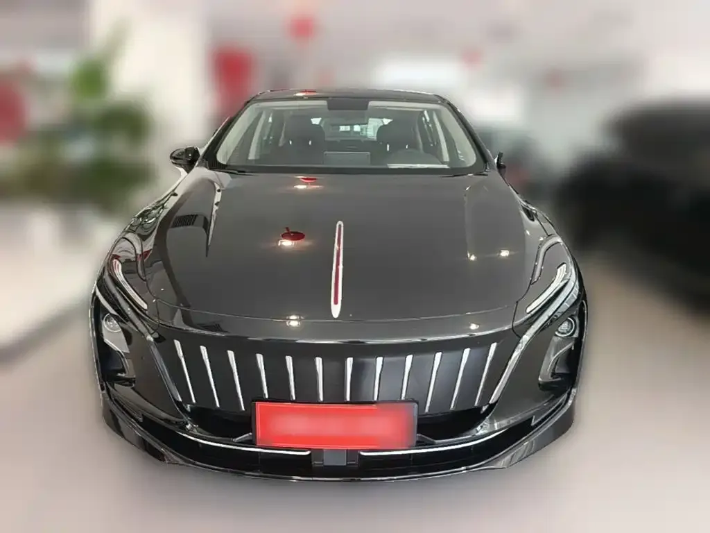 Hongqi E-QM5 2024 из CN, фото 5