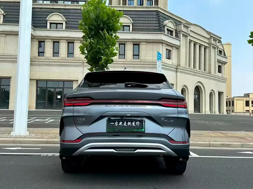 BYD PLUS New Energy 2024 из CN, фото 8