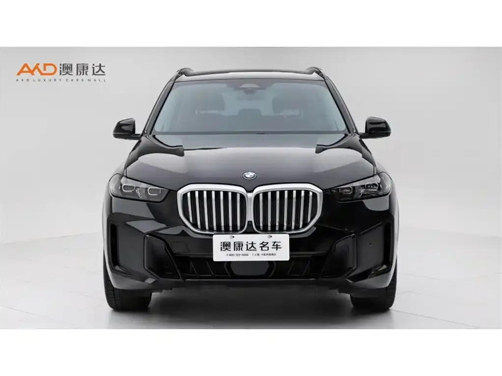 BMW X5 2024 из CN, фото 8