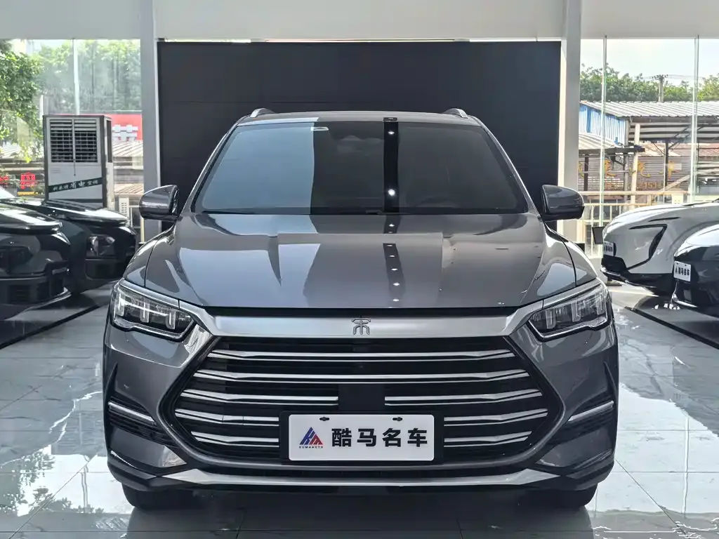BYD Pro New Energy — фото 1