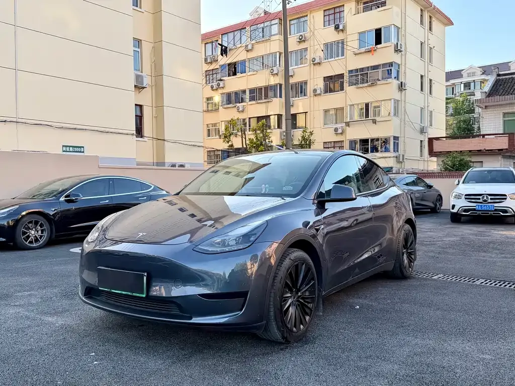 Tesla Model Y — фото 1