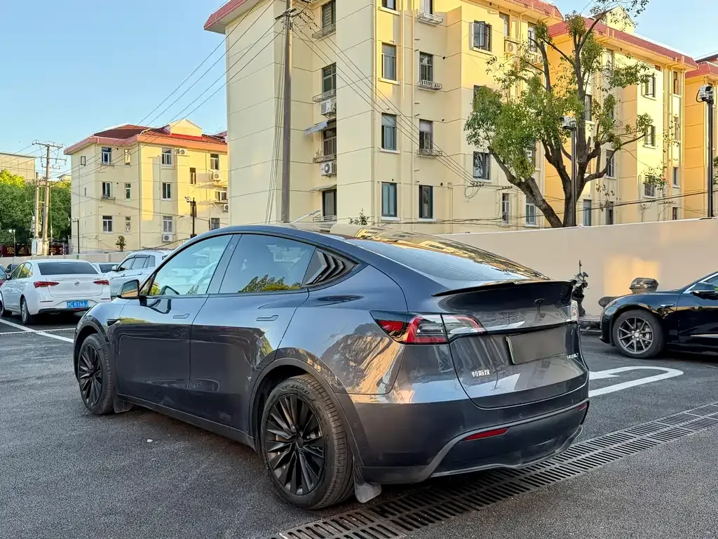 Tesla Model Y — фото 9