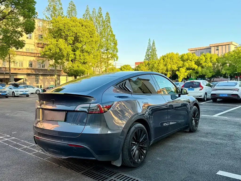 Tesla Model Y — фото 2