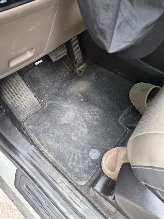 Kia Carnival 2025 из KR, фото 2