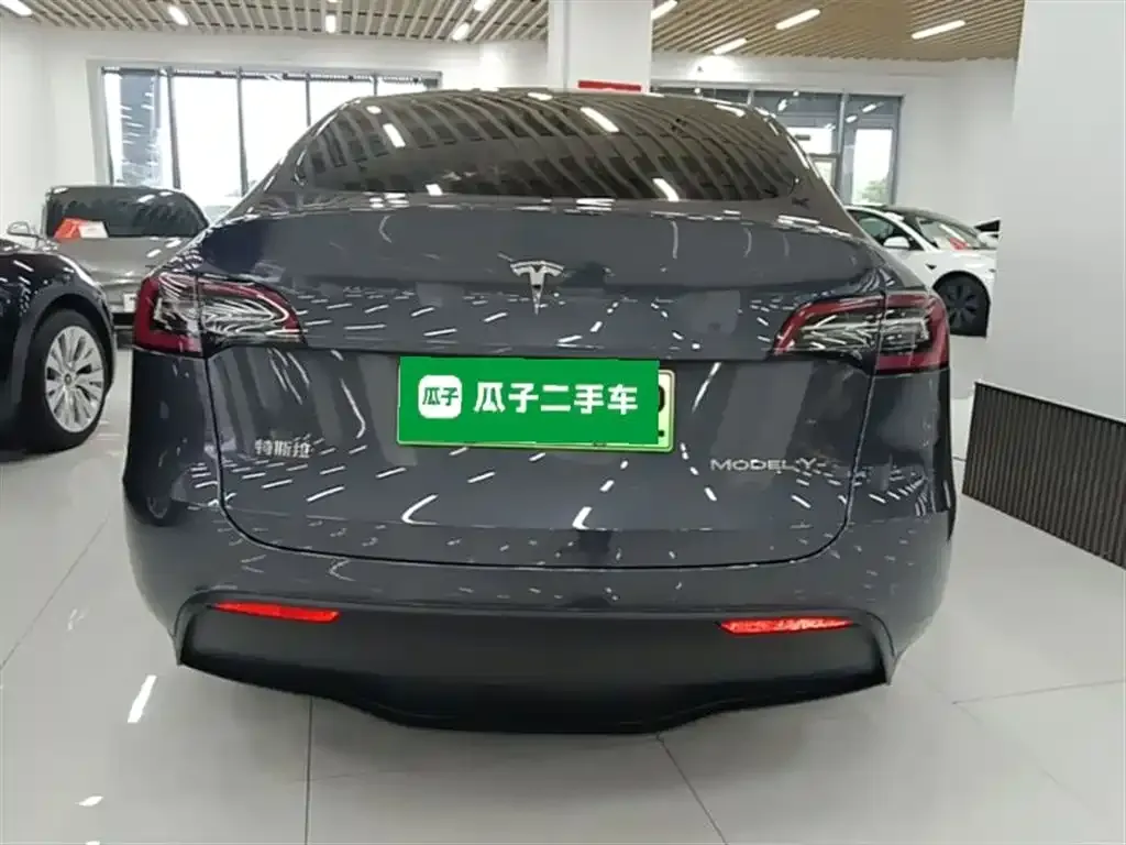 Tesla Model Y — фото 8