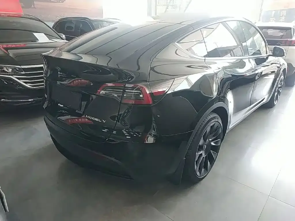 Tesla Model Y — фото 6