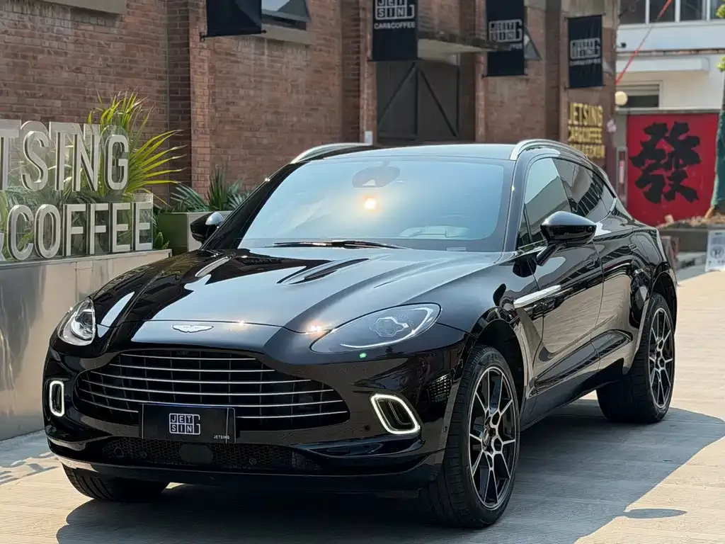 Aston Martin DBX 2021 из CN, фото 8