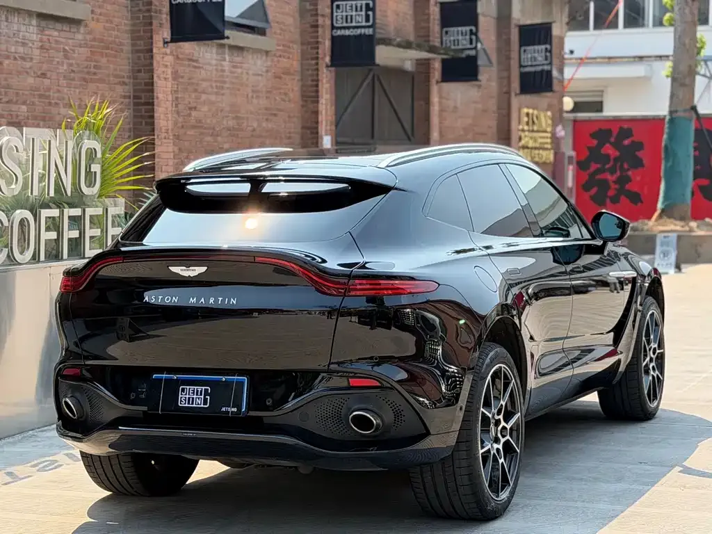 Aston Martin DBX 2021 из CN, фото 9