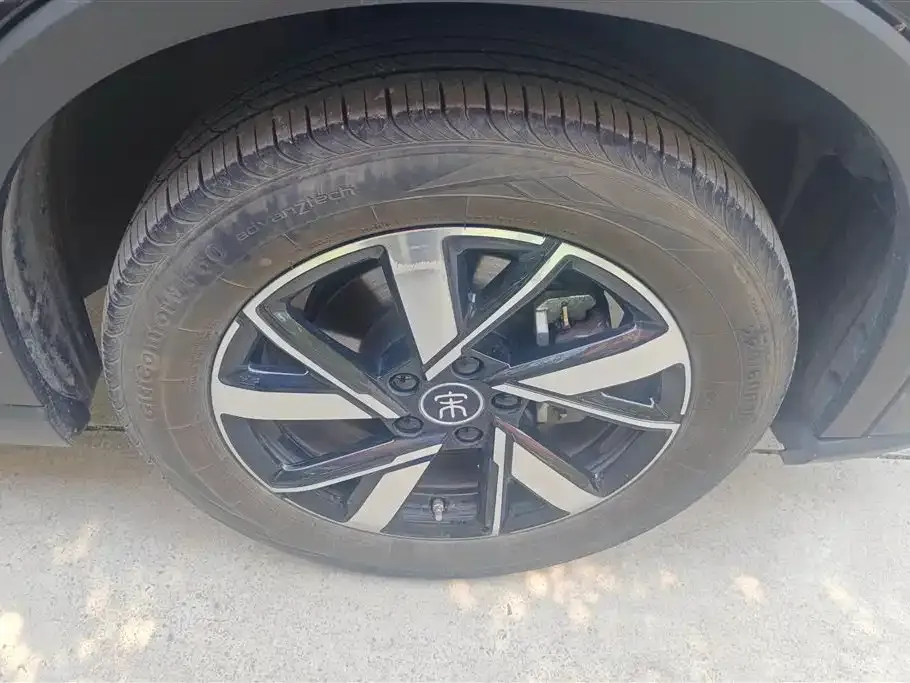 BYD Pro New Energy 2024 из CN, фото 5