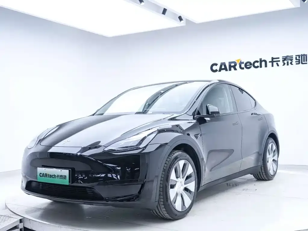 Tesla Model Y — фото 5