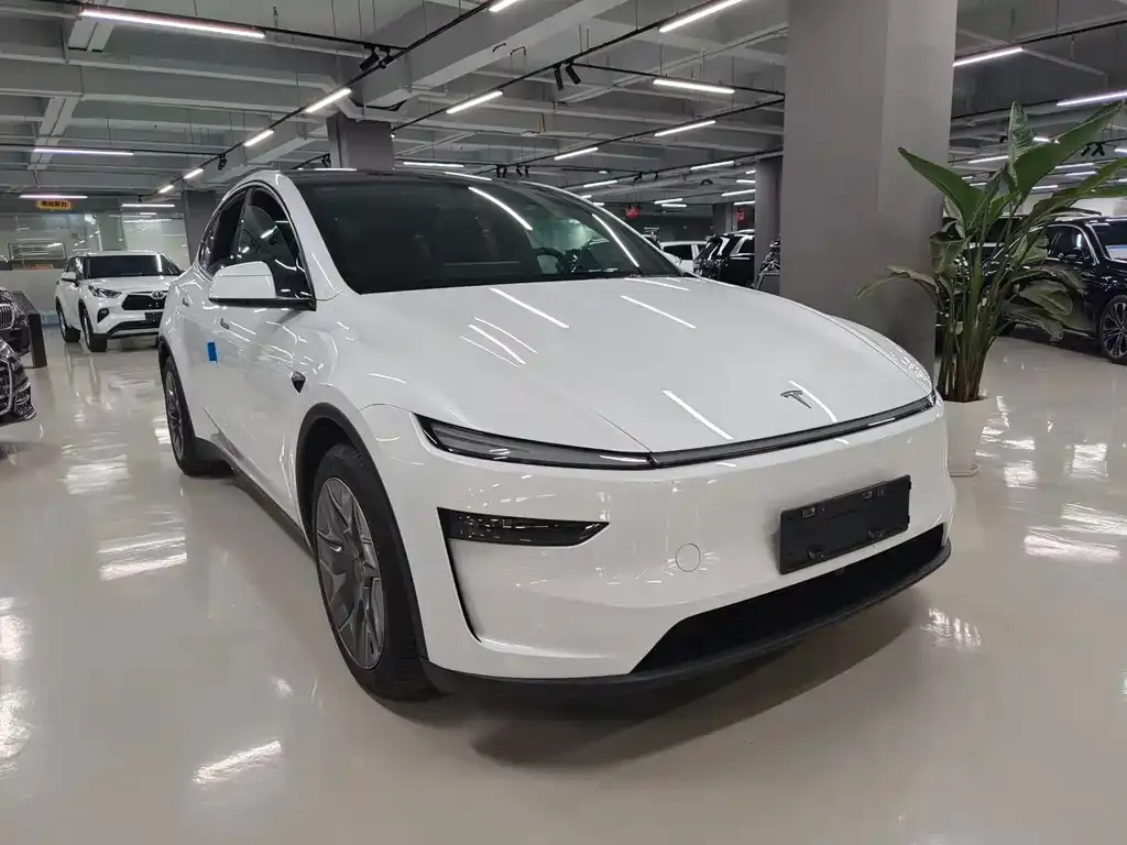 Tesla Model Y L 2026 из CN, фото 9