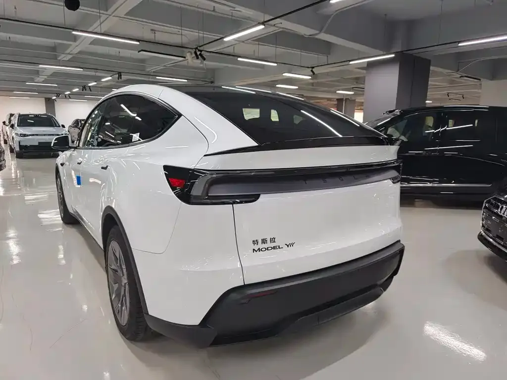 Tesla Model Y L 2026 из CN, фото 3