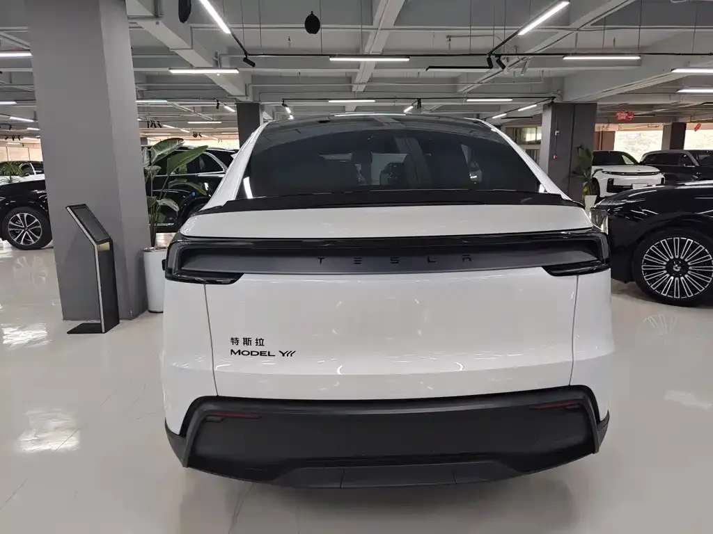Tesla Model Y L 2026 из CN, фото 4