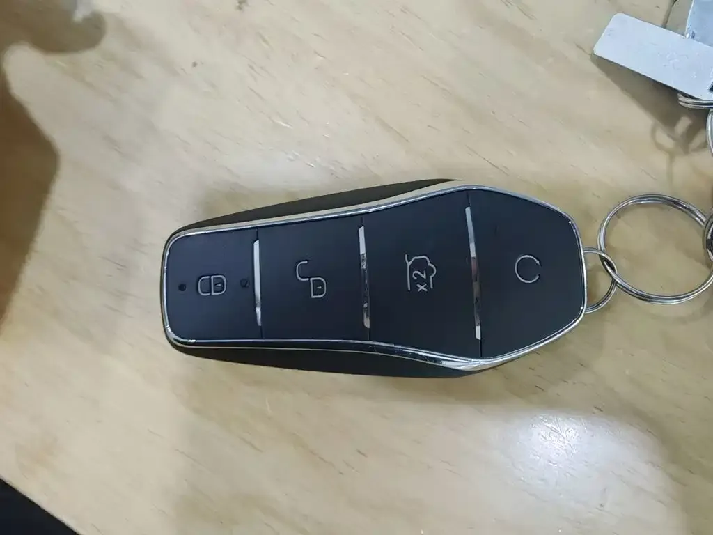 BYD L DM-i — фото 2