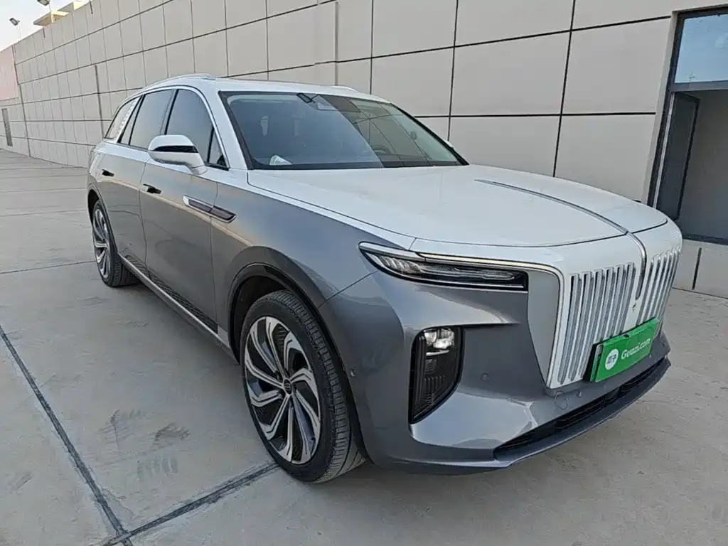 Hongqi E-HS9 — фото 9
