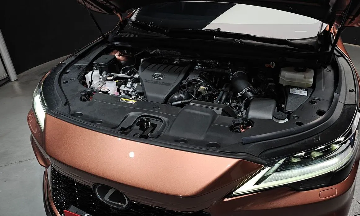 Lexus RX 2024 из KR, фото 7