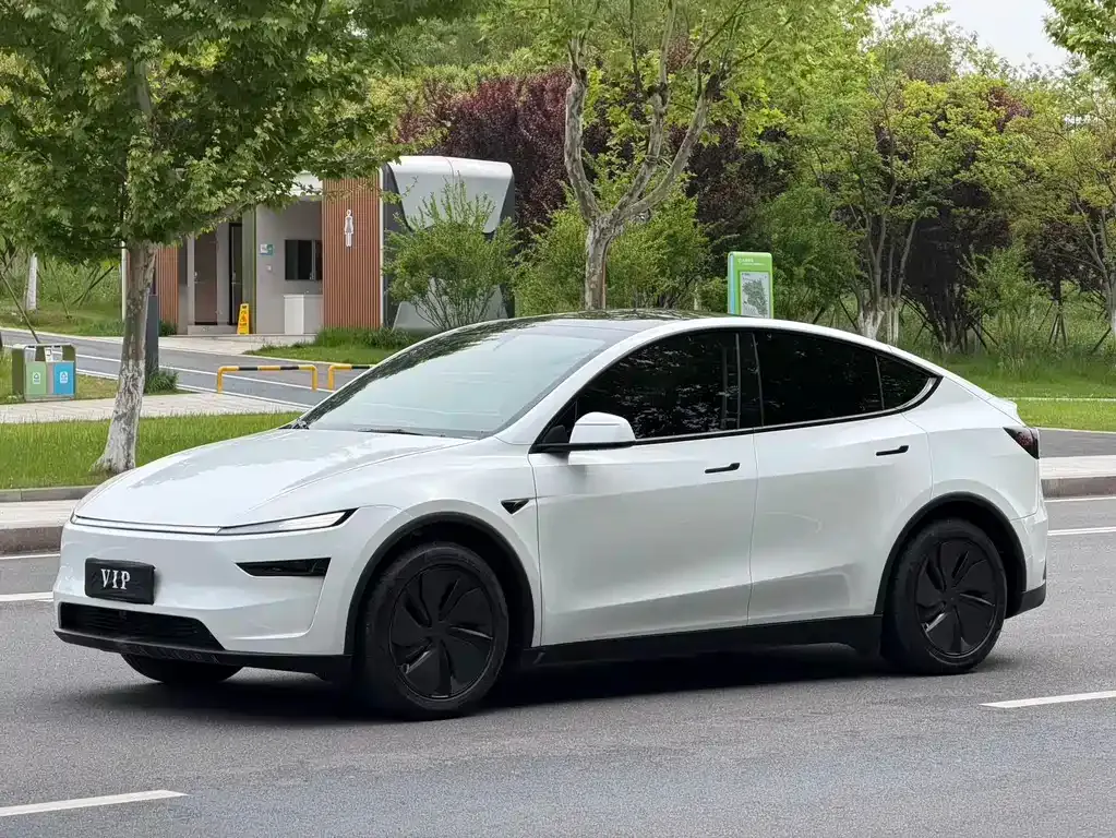 Tesla Model Y — фото 1