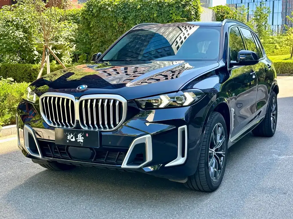 BMW X5 — фото 1