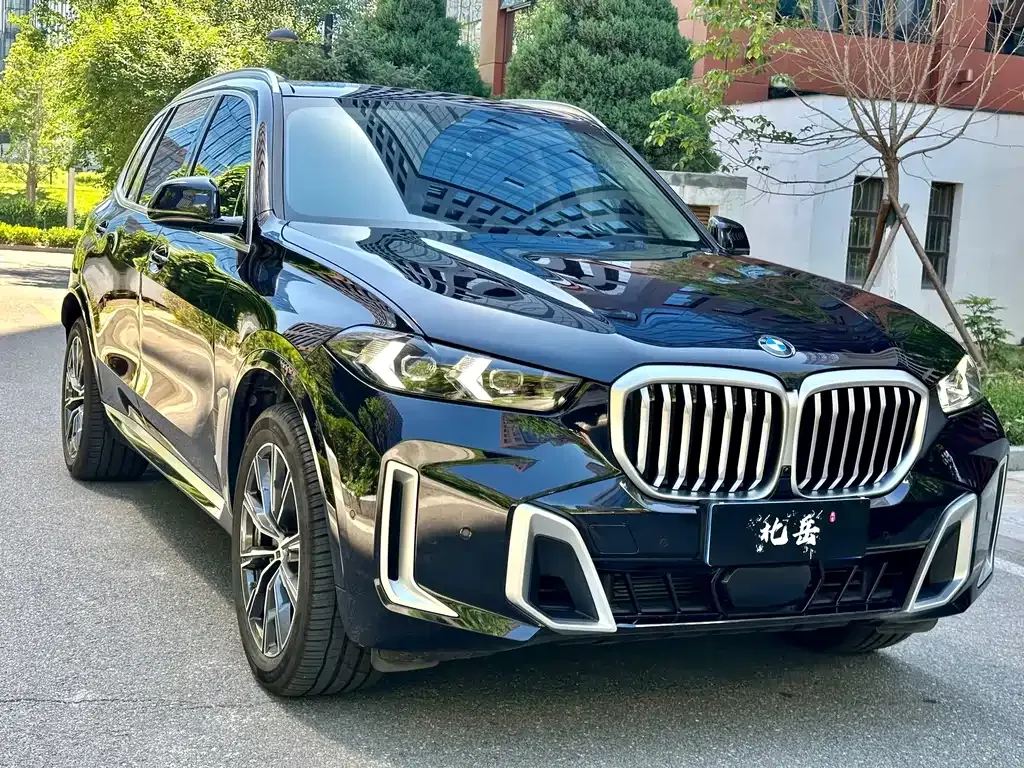 BMW X5 — фото 8