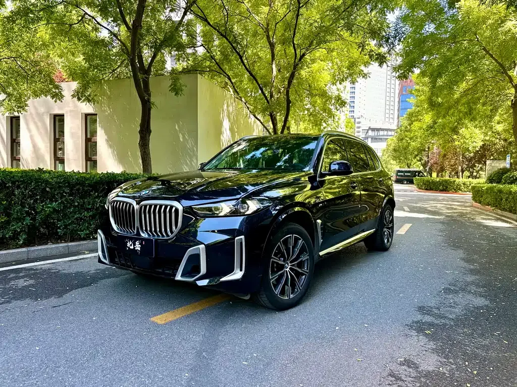 BMW X5 — фото 4