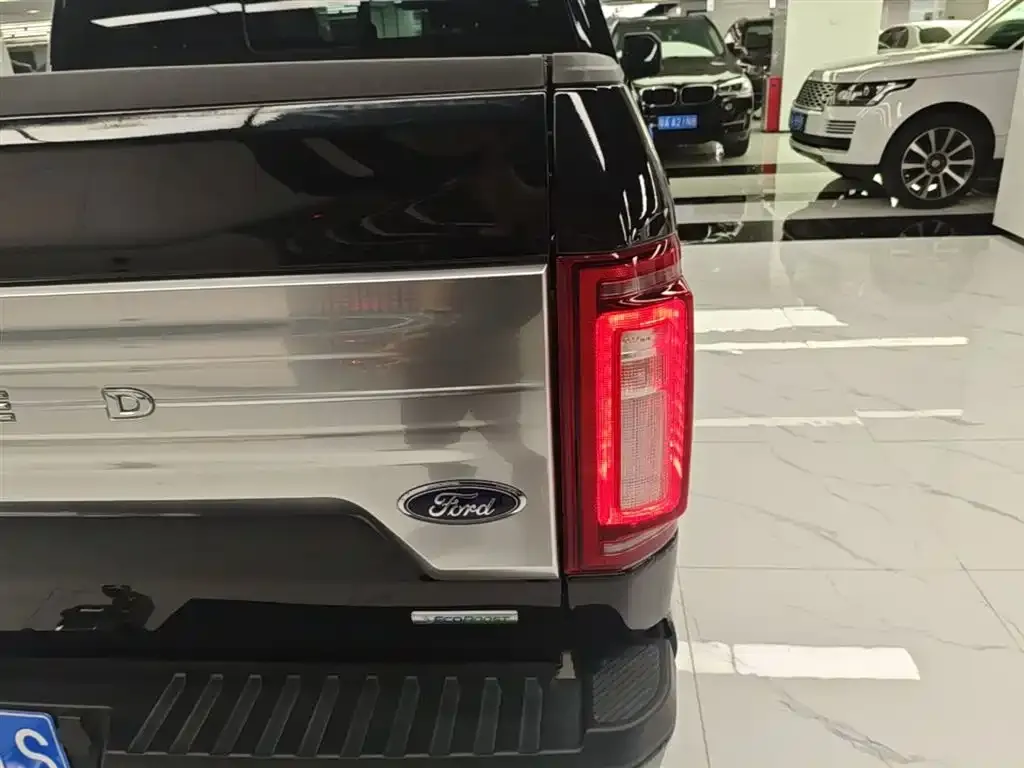 Ford F-150 Raptor 2021 из CN, фото 6
