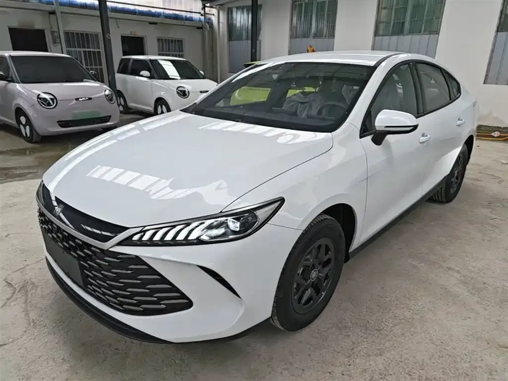 BYD Qin PLUS — фото 6