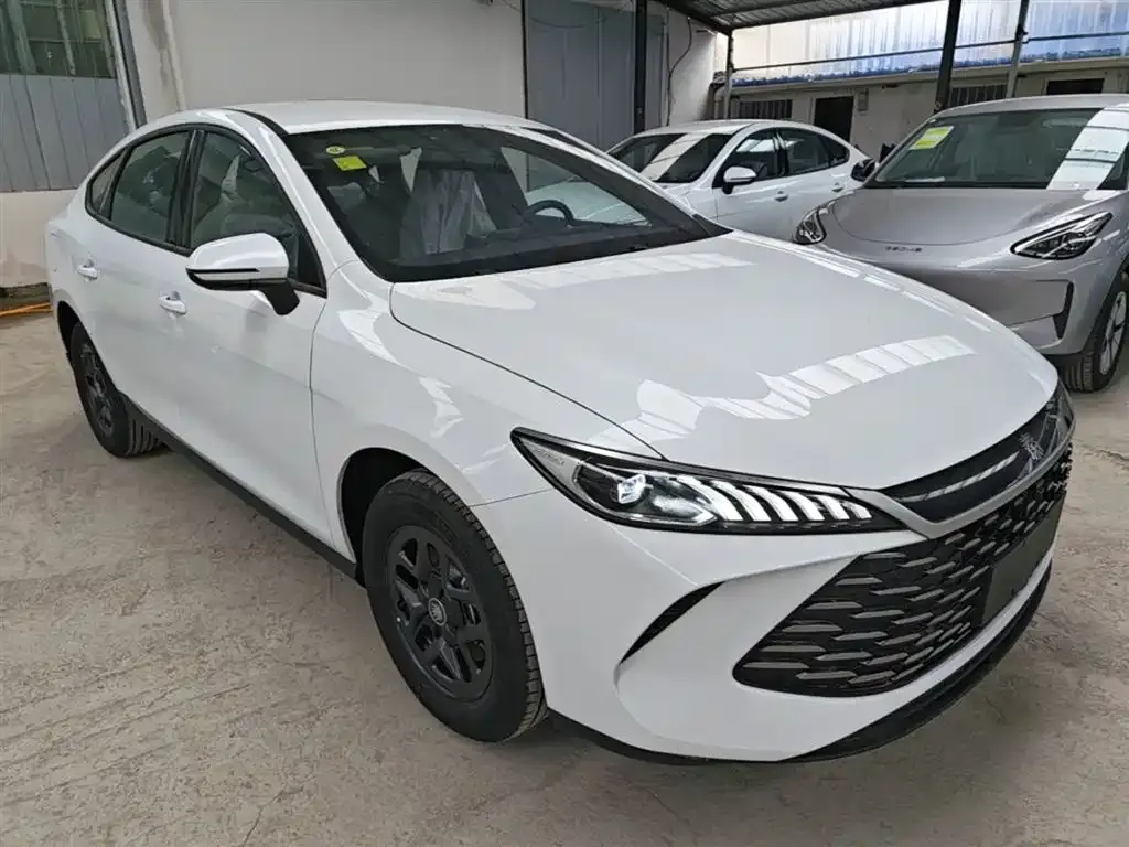 BYD Qin PLUS — фото 10