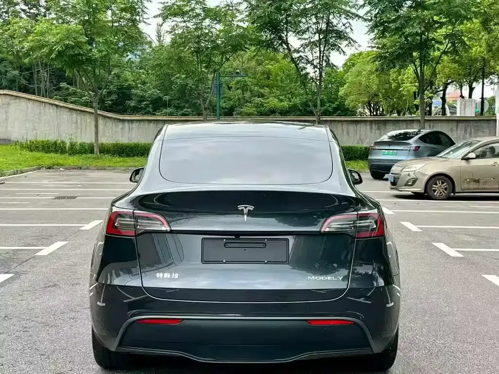 Tesla Model Y 2024 из CN, фото 9