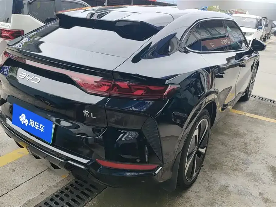 BYD L EV 2023 из CN, фото 7