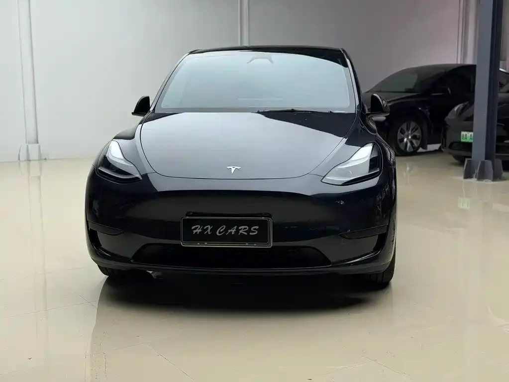 Tesla Model Y — фото 2