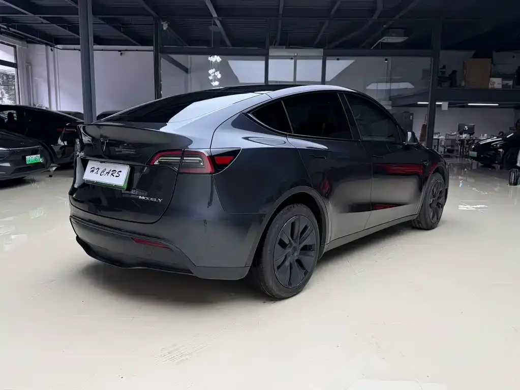 Tesla Model Y — фото 9