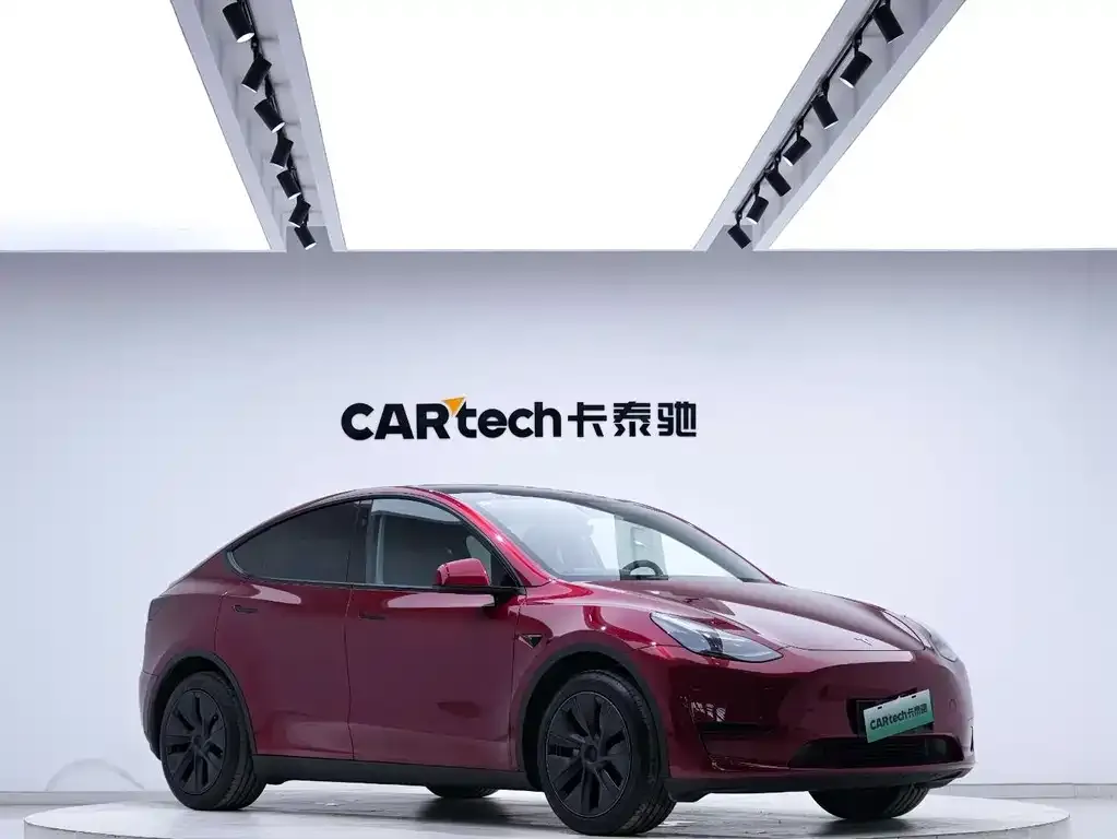Tesla Model Y — фото 6