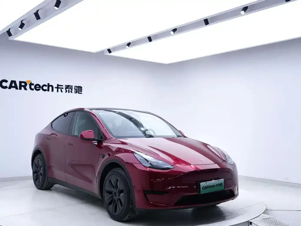 Tesla Model Y — фото 8
