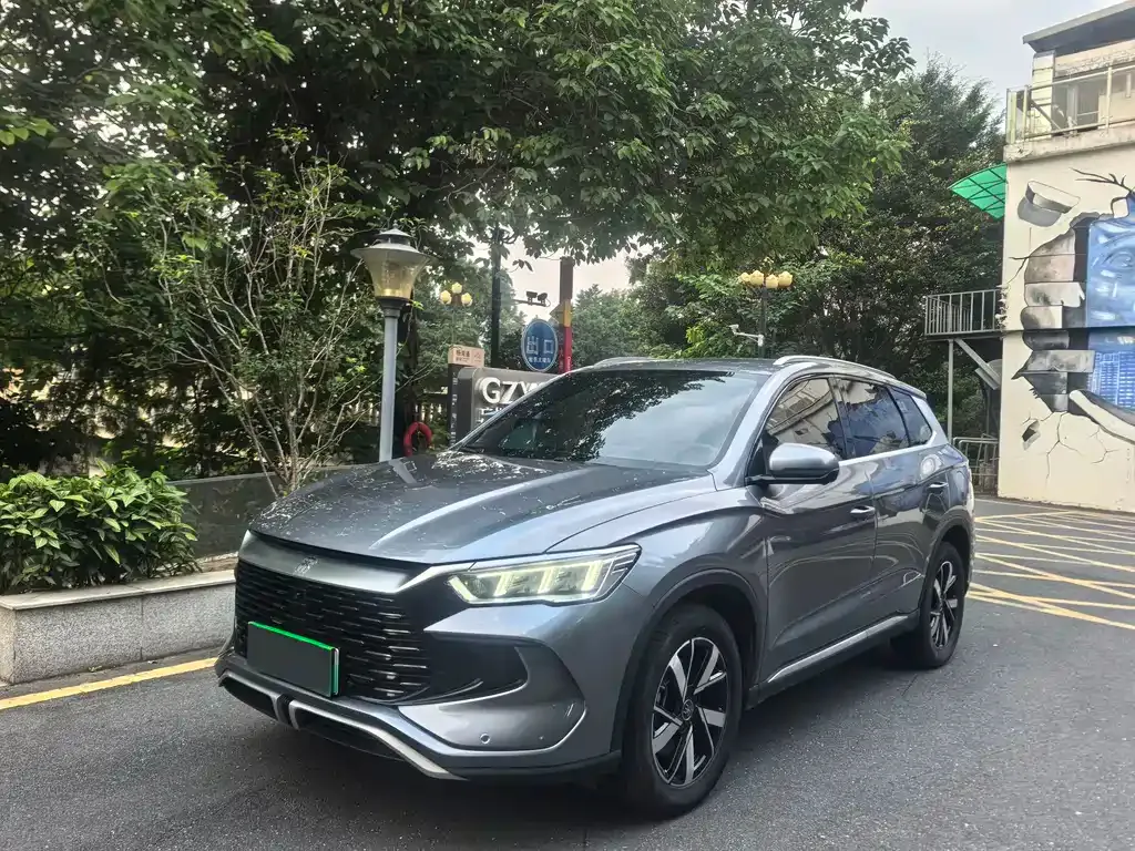 BYD Pro New Energy