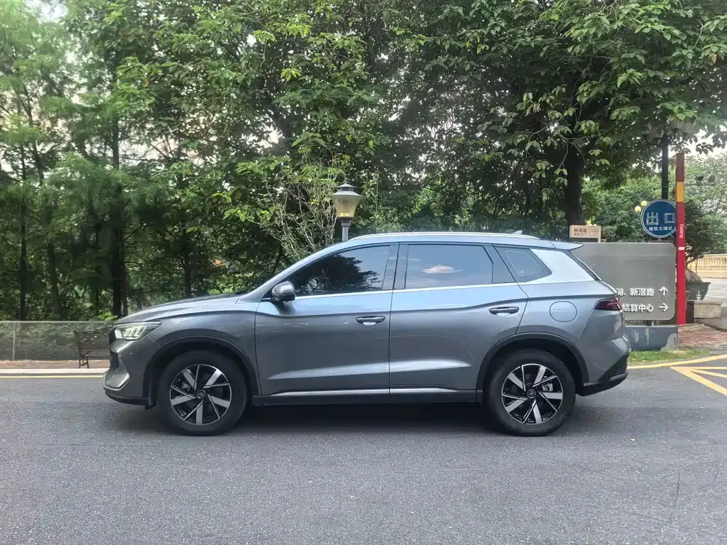 BYD Pro New Energy 2024 из CN, фото 6